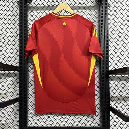 Spain 24-25 Home